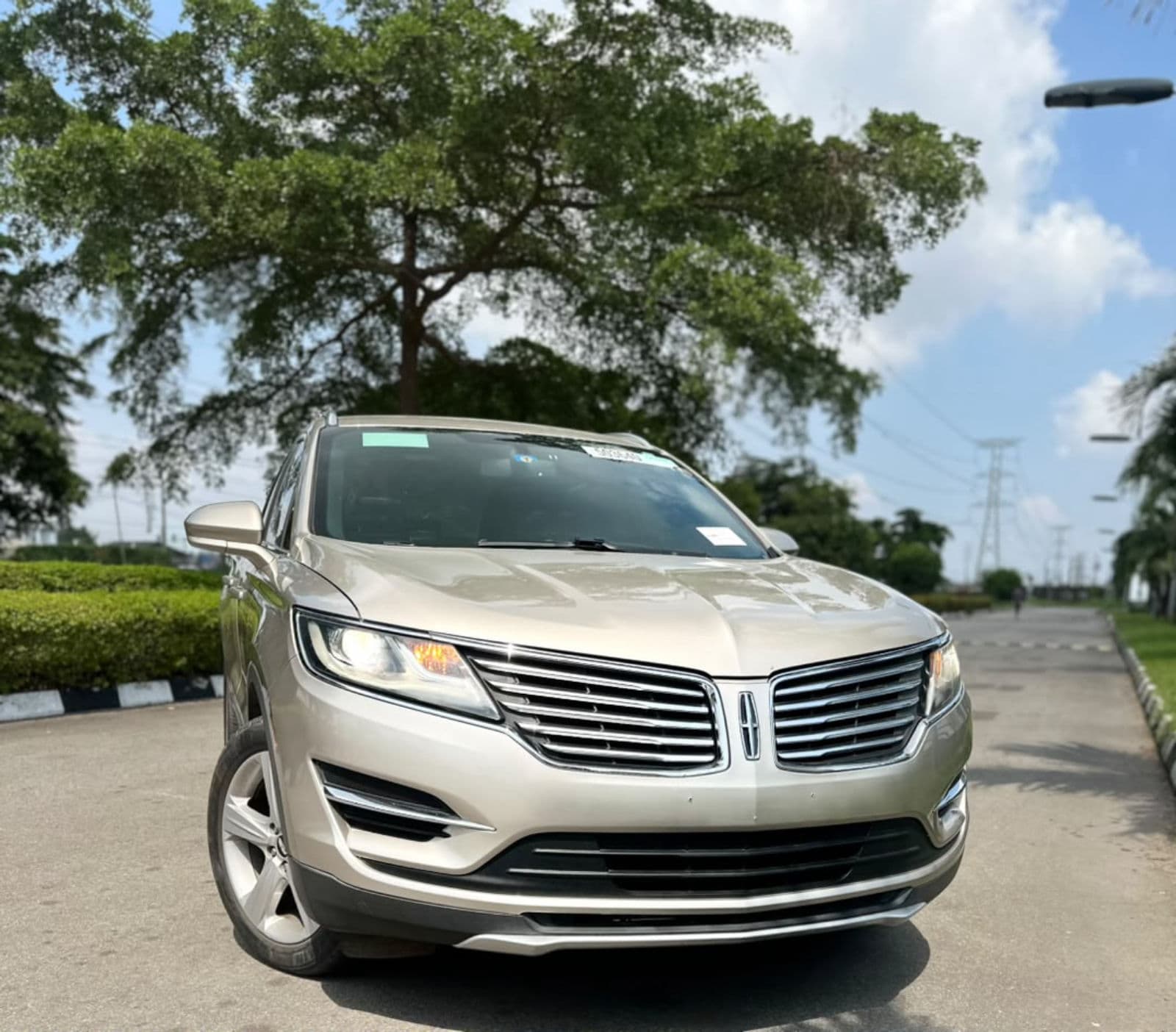 2015 lincoln mkx — photo 1