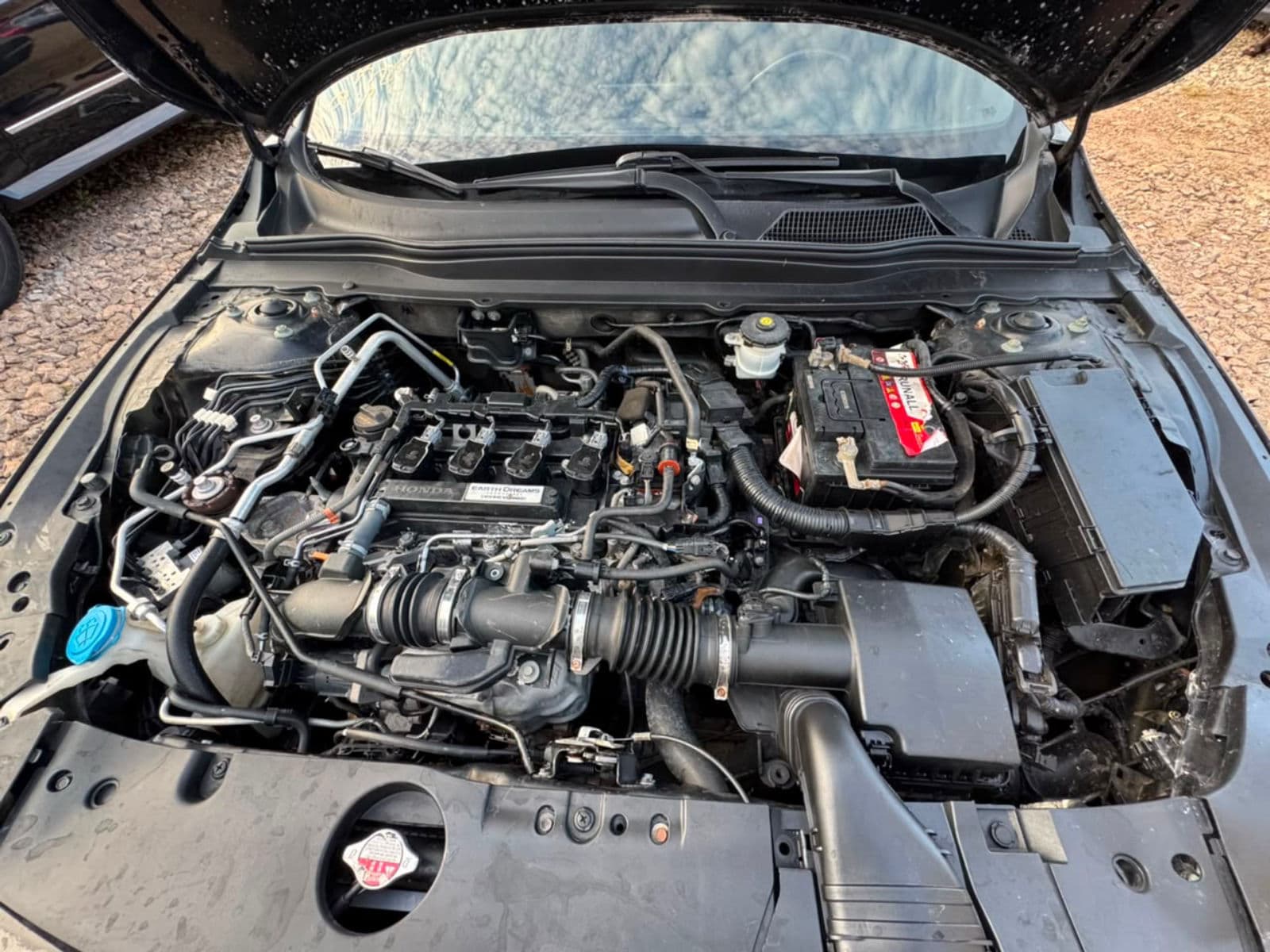 2019 Honda Accord Sedan — photo 6 of 6