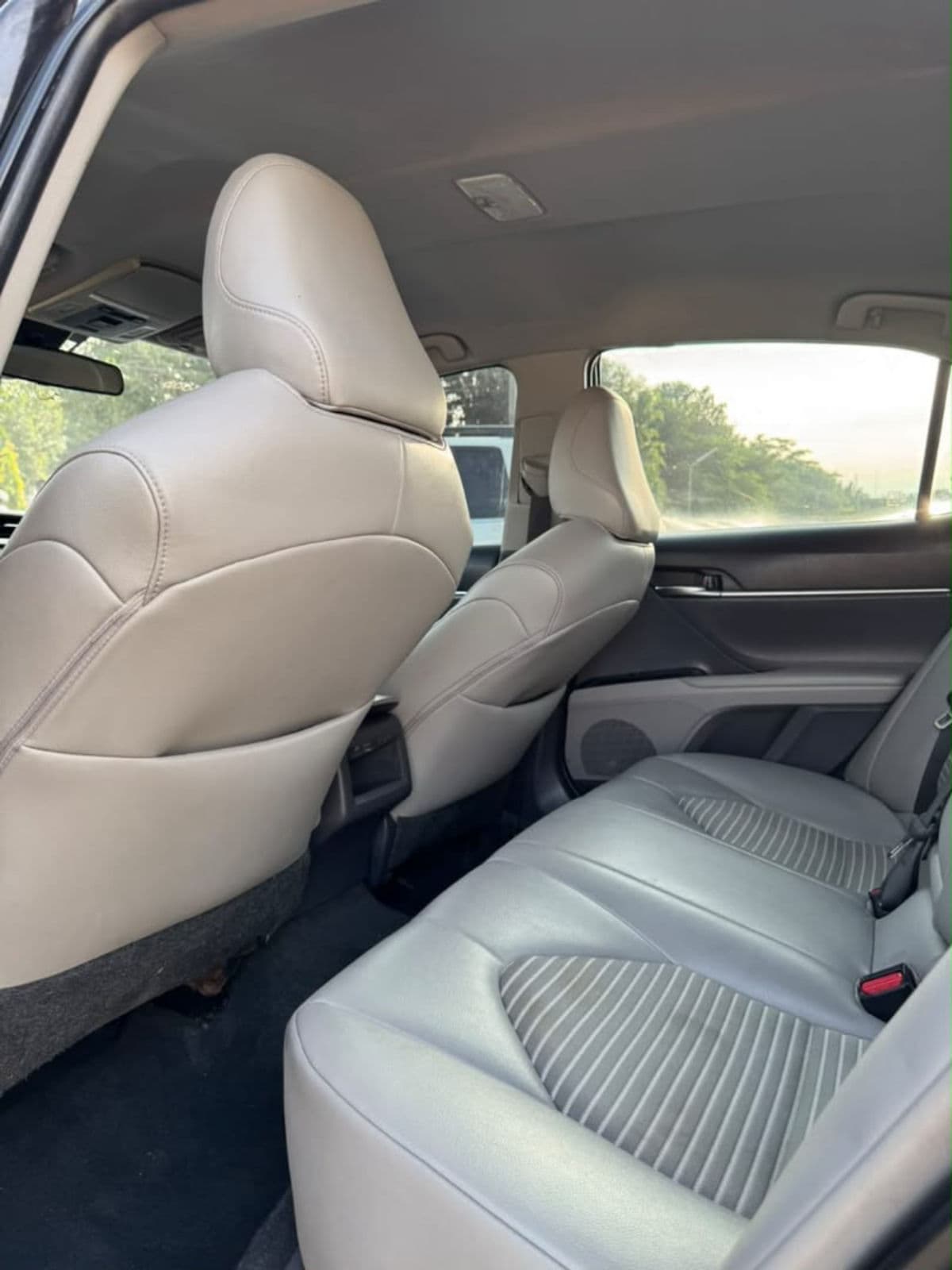 2019 Toyota Camry Sedan — photo 5 of 5