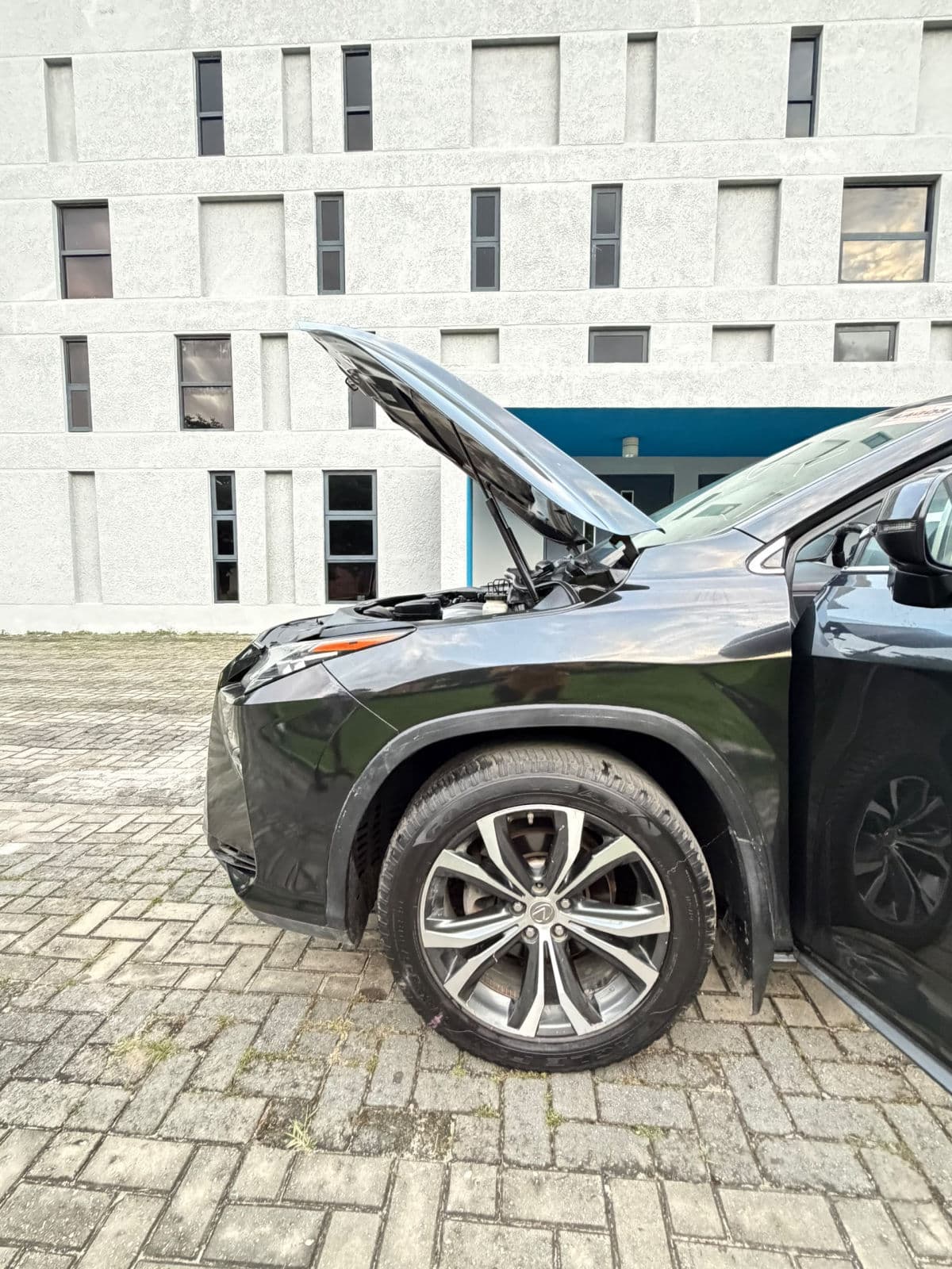 2017 Lexus RX SUV — photo 6 of 11