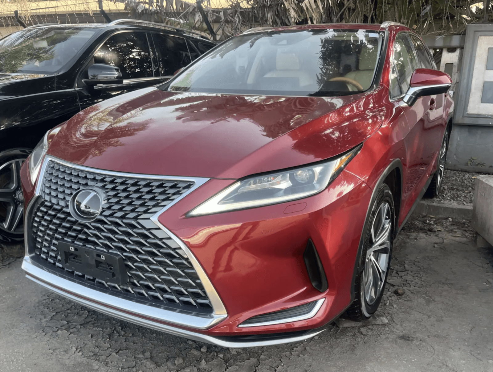 2020 Lexus RX SUV — photo 10 of 10