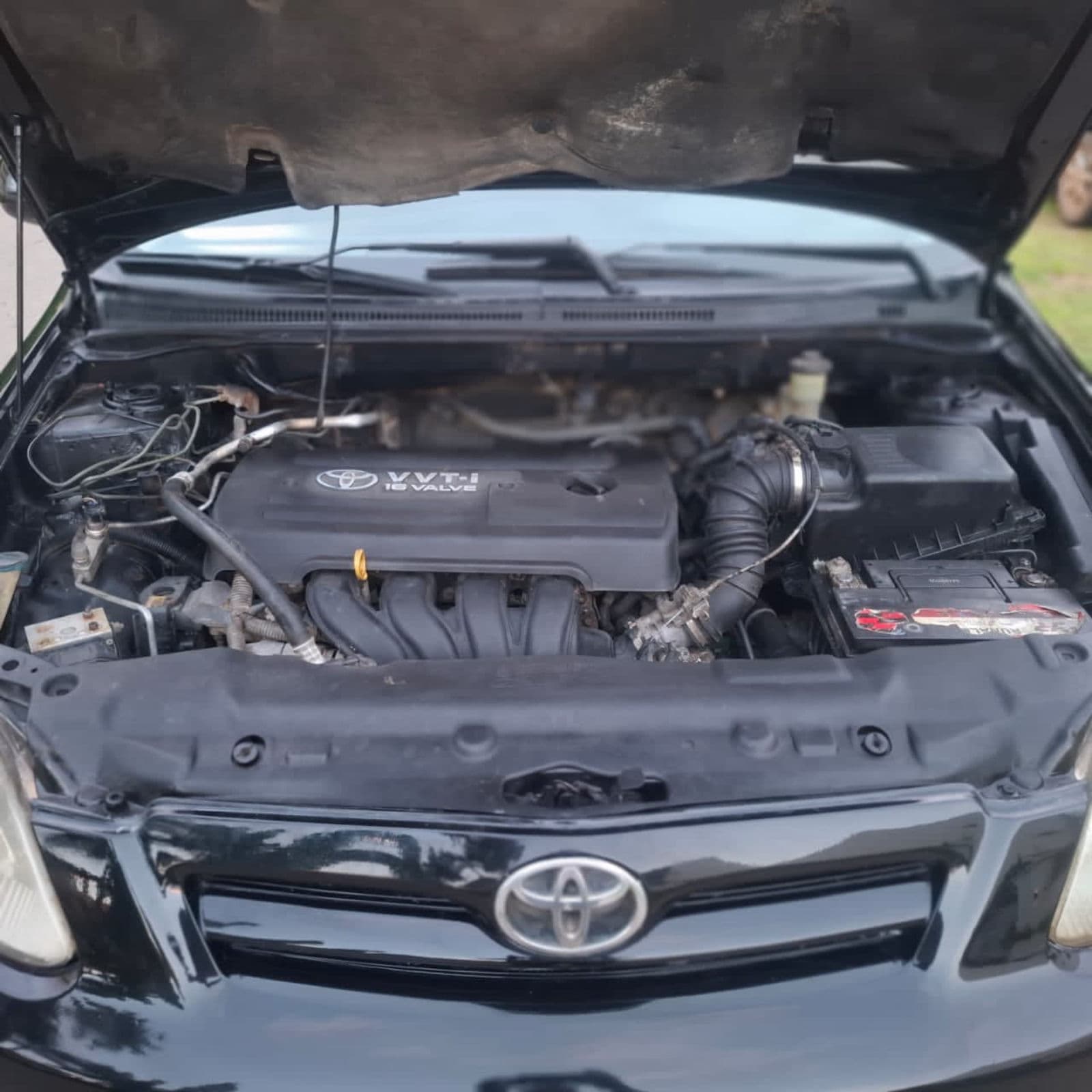 2004 Toyota Corolla obama Hatchback — photo 4 of 6