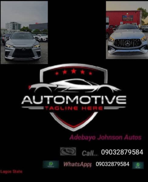 TUNDE ADEBAYO JOHNSON profile photo